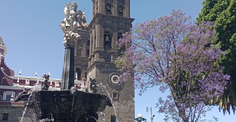 Panoramic view of Puebla’s historic center with colonial architecture, colorful facades, and bougainvillea tree backdrop