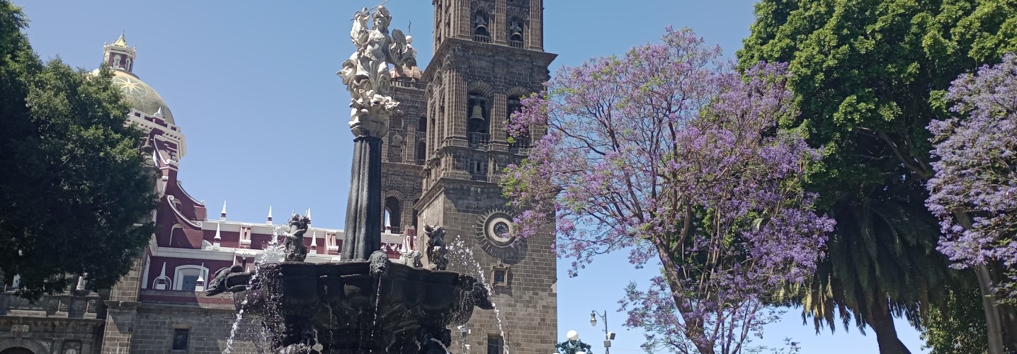 Panoramic view of Puebla’s historic center with colonial architecture, colorful facades, and bougainvillea tree backdrop