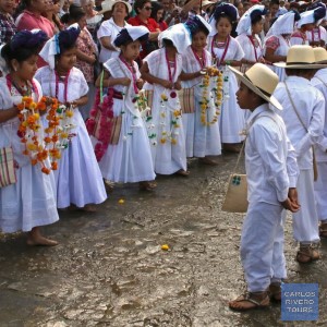 Children in Cuetzalan joyfully dance in traditional embroidered costumes, filling the square with vibrant colors, rhythms, and the living spirit of Puebla’s Sierra Norte culture.