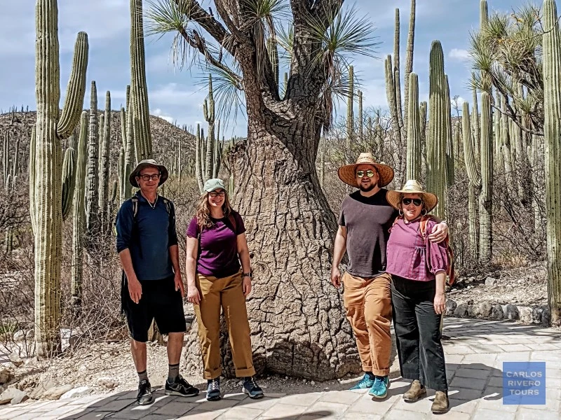alt="Friends posing beside a centuries-old endemic cactus in the Cuicatlán–Tehuacán Biosphere Reserve, celebrating Mexico’s desert biodiversity.
