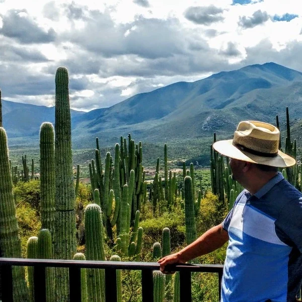 Spectator observing the endemic cactus landscape from a high viewpoint in the Cuicatlan Tehuacan Biosphere Reserve, Puebla, Mexico.