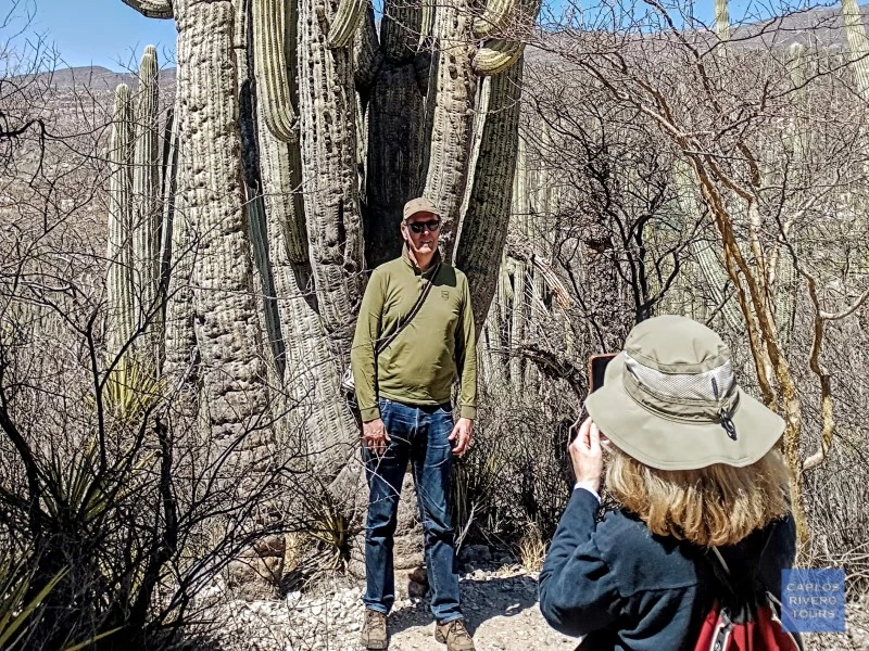 Couple photographing one of the iconic columnar cacti in the Cuicatlán–Tehuacán Biosphere Reserve, capturing Mexico’s unique desert flora.