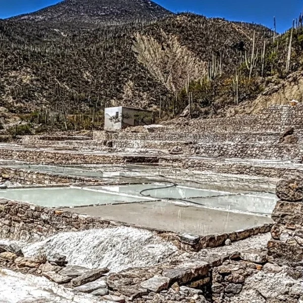 Panoramic view of the salt flats at Zapotitlán Salinas within the Cuicatlán–Tehuacán Biosphere Reserve, showcasing ancient extraction terraces and desert landscapes in Puebla, Mexico.