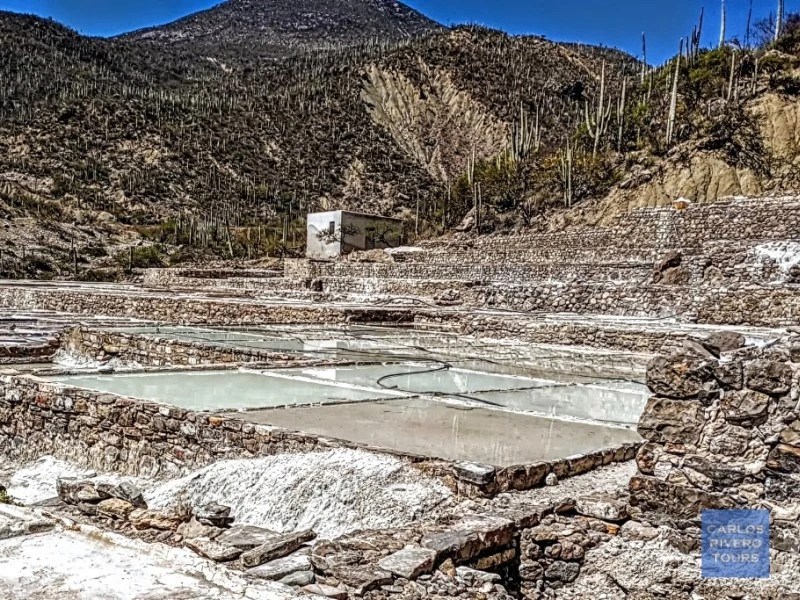 Panoramic view of the salt flats at Zapotitlán Salinas within the Cuicatlán–Tehuacán Biosphere Reserve, showcasing ancient extraction terraces and desert landscapes in Puebla, Mexico.