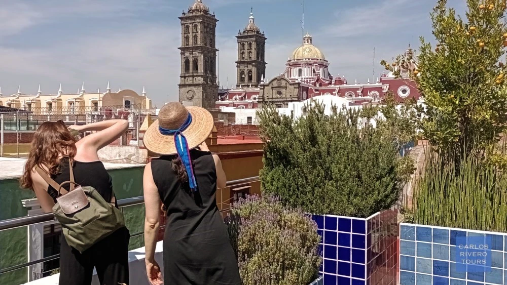 Customize Your Experience / Personaliza tu Experiencia