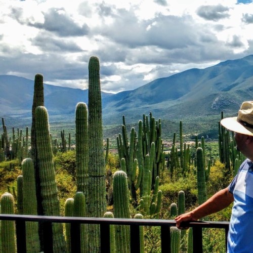 Cuicatlan Tehuacan Biosphere Reserve