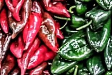 Guide to Mexican chili peppers
